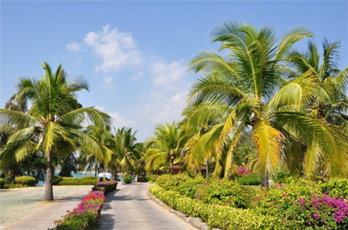 在祁东县比较知名的奶茶品牌是哪个，在祁东县加盟玉林奶茶什么位置好