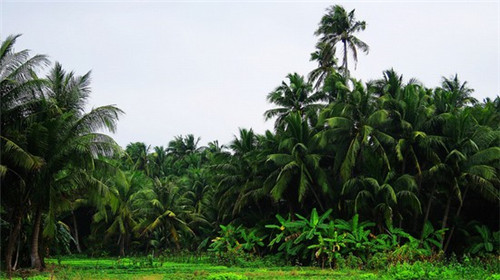 加盟金波麻辣烫收益怎么样，金波麻辣烫加盟值得信赖吗