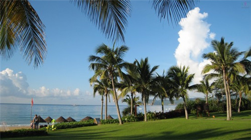 南京共享童车加盟费多少钱