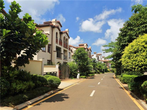 在庄浪县加盟蔓斯雪冰淇淋开店有哪些优惠，庄浪县开冰淇淋店品牌哪家好