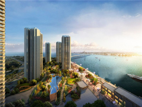 茴香炒虾皮怎么炒才好吃（虾皮炒茴香苗）