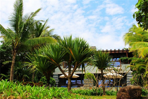 抖音里面拍婚纱的人多吗（抖音里面的婚纱照都是在哪里拍的）