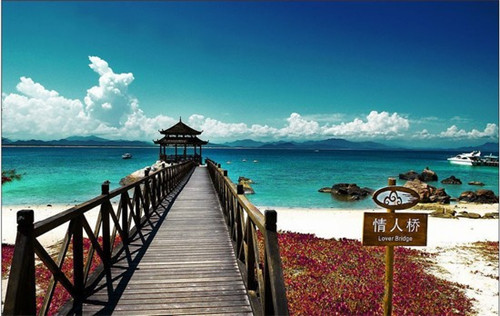 炫果时芬加盟费多少