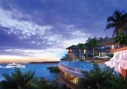 一般奶茶店都用什么咖啡豆，奶茶店买什么豆沙包