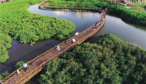 加盟米旗蛋糕需要满足什么条件