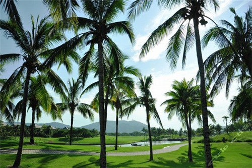 未来不是梦微信头像（未来不是梦微信名）