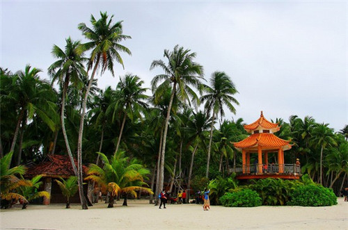 红了的眼眶是什么歌（歌词红了眼眶就忘了过往）